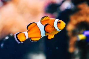 生态环境部通报环境污染典型案例 直指政府部门不作为